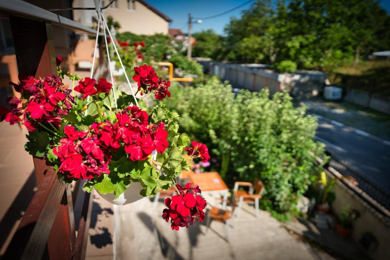 Vila Victoria Râmnicu Vâlcea Esterno foto