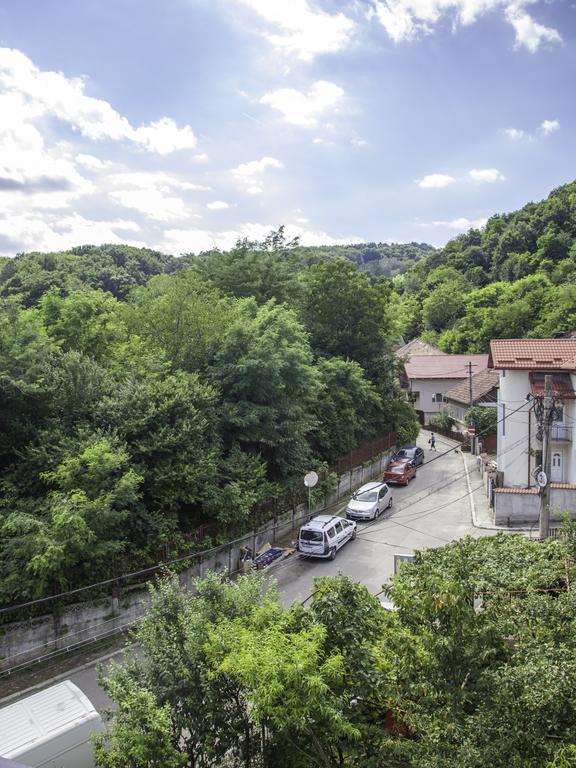 Vila Victoria Râmnicu Vâlcea Esterno foto